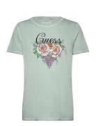 Ss Grape Vine Logo Easy Tee Tops T-shirts & Tops Short-sleeved Green G...