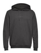 Jbs Of Dk Logo Hoodie Fsc Tops Sweatshirts & Hoodies Hoodies Grey JBS ...