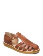 Sandals - Flat - Closed Toe - Op Flade Sandaler Brown ANGULUS