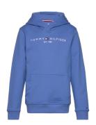 Essential Hoodie Tops Sweatshirts & Hoodies Hoodies Blue Tommy Hilfige...
