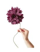 Paper Flower, Grand Dahlia Home Decoration Paper Flowers Purple Studio...