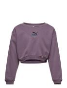 Classics Grl Crew Fl G Sport Sweatshirts & Hoodies Sweatshirts Purple ...