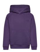 Lars Kids Organic/Recycled Hoodie Tops Sweatshirts & Hoodies Hoodies P...