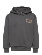 Hmldare Hoodie Sport Sweatshirts & Hoodies Hoodies Grey Hummel