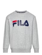 Babina Greda Sport Sweatshirts & Hoodies Sweatshirts Grey FILA