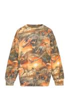 Monti Tops Sweatshirts & Hoodies Sweatshirts Multi/patterned Molo