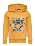 Tnhaddon Hoodie Tops Sweatshirts & Hoodies Hoodies Yellow The New
