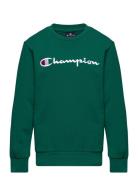 Crewneck Sweatshirt Sport Sweatshirts & Hoodies Sweatshirts Green Cham...