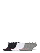 Levis Low Cut Batwing Logo 9P Ecom Lingerie Socks Footies-ankle Socks ...