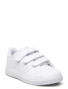 Advantage Base 2.0 Cf C Low-top Sneakers White Adidas Sportswear