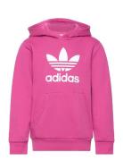 Trefoil Hoodie Tops Sweatshirts & Hoodies Hoodies Pink Adidas Original...