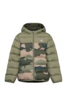 J Sd Aop Jkt Foret Jakke Khaki Green Adidas Sportswear