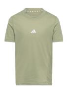 J D4T Tee Tops T-Kortærmet Skjorte Khaki Green Adidas Sportswear