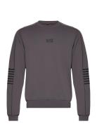 Sweatshirt Tops Sweatshirts & Hoodies Sweatshirts Grey EA7