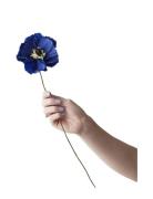 Paper Flower, Peony Home Decoration Paper Flowers Blue Studio About