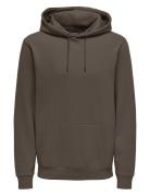 Onsceres Hoodie Sweat Noos Tops Sweatshirts & Hoodies Hoodies Brown ON...