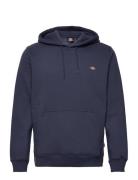 Oakport Hoodie Designers Sweatshirts & Hoodies Hoodies Navy Dickies