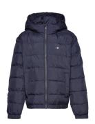 Shield Padded Jacket Foret Jakke Navy GANT