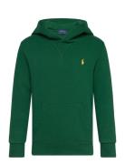 Seasonal Fleece-Ls Po Hood-Tp-Knt Tops Sweatshirts & Hoodies Hoodies G...