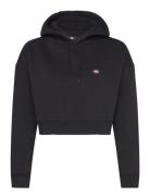 Oakport Cropped Hoodie Tops Sweatshirts & Hoodies Hoodies Black Dickie...