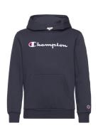 Hooded Sweatshirt Tops Sweatshirts & Hoodies Hoodies Navy Champion