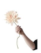 Paper Flower Home Decoration Paper Flowers Beige Studio About