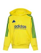 J Np Hoodie Tops Sweatshirts & Hoodies Hoodies Yellow Adidas Sportswea...