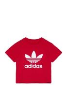 Trefoil Tee Sport T-Kortærmet Skjorte Red Adidas Originals