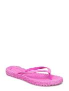 Flip Flop With Glitter Shoes Summer Shoes Sandals Flip Flops Khaki Gre...