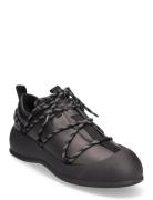 Corky Designers Sneakers Low-top Sneakers Black Bally