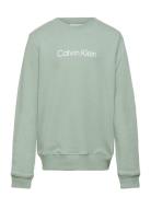 Inst. Logo Regular Cn Tops T-shirts Long-sleeved T-Skjorte Green Calvi...