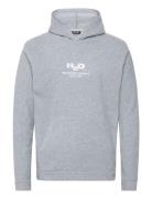 Blåvand Fleece Hoodie Tops Sweatshirts & Hoodies Hoodies Grey H2O