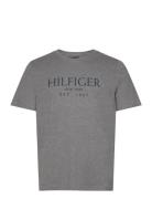 Big Hilfiger Tee Tops T-Kortærmet Skjorte Grey Tommy Hilfiger