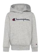 Hooded Sweatshirt Tops Sweatshirts & Hoodies Hoodies Grey Champion