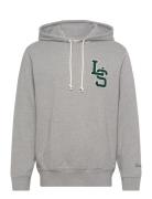 Standard Graphic Hoodie Ls Let Tops Sweatshirts & Hoodies Hoodies Grey...