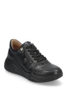 Sneaker Low-top Sneakers Black Gabor