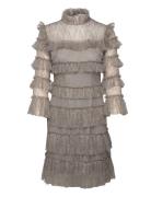 Carmine Frill Mini Lace Dress Designers Short Dress Grey Malina