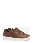 Barbour Ponting Sneake Low-top Sneakers Brown Barbour