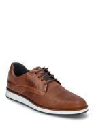 Beko Low-top Sneakers Brown Dune London