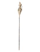 Natelie Branch Home Decoration Paper Flowers Beige Bloomingville