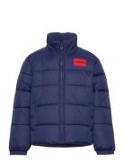 Puffer Jacket Foret Jakke Blue Hugo Kids