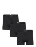 3 Pack Underwear - Gots/Vegan Boxershorts Black Knowledge Cotton Appar...