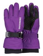 Biggles Gloves 3 Accessories Gloves & Mittens Gloves Purple Didriksons