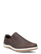 Edda M Low-top Sneakers Brown Exani