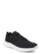 Olympia M Low-top Sneakers Black Exani