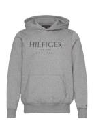 Big Hilfiger Hoody Tops Sweatshirts & Hoodies Hoodies Grey Tommy Hilfi...