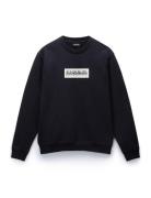 Box Logo Sweatshirt Tops Sweatshirts & Hoodies Sweatshirts Black Napap...