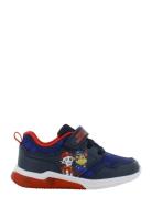 Paw Patrol Sneaker Low-top Sneakers Blue Paw Patrol