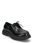 Reice Lace Up Snørestøvler Black Steve Madden