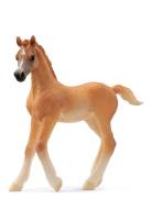 Schleich Arab Foal Toys Playsets & Action Figures Animals Multi/patter...
